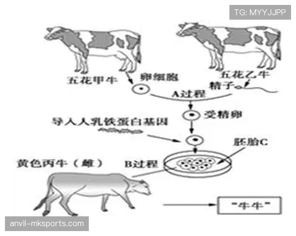 萨卡：半空间持球推进与制造威胁的核心价值分析